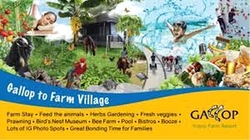 D' Kranji Farm Resort (D24), Land #517424031